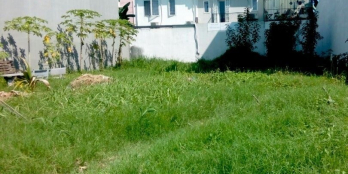 cần bán đất tại thôn Xuân Nguyên , Xã Xuân Trúc