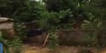 Bán đất tại xã Phù Ủng, huyện Ân Thi, Hưng Yên Giá rẻ