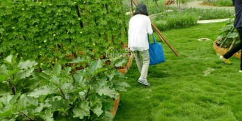 Đất gần Bà Rịa, giá rẻ số lượng có hạn