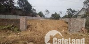 Trục chính Khoang Xanh, diện tích 450m2, thổ cư 100m2, mặt rộng 12m