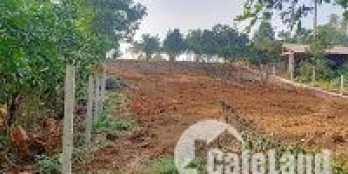 Chính chủ cần bán đất Xã Minh Quang, Ba Vì, Hà Nội