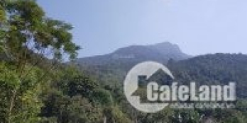 Đất đẹp Minh Quang, Ba Vì, Hà Nội. Mặt tiền đường bê tông 90m, có 200 m2 đất ở