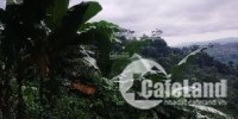 Đất đẹp Minh Quang Ba Vì Hà Nội