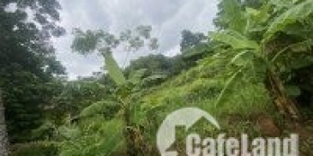 Lô đất đẹp còn lại ở Cẩm Lĩnh, HN, giá đầu tư, phù hợp phân lô.