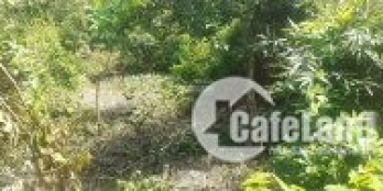 cần bán đất diện tích 1.221m2 đất sổ đỏ tại: Xã Tòng Bạt - Huyện Ba Vì