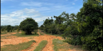 Chính chủ bán đất tại Xã Hồng Phong, Huyện Bắc Bình, Tỉnh Bình Thuận,