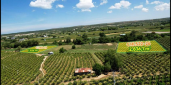 Khách ở chợ lầu Huyện Bắc Bình Bình Thuận kẹt tiền cần bán lô đất giá đầu tư