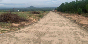 CẦN BÁN GẤP 23 HA ĐẤT TRỒNG CÂY LÂU NĂM TẠI THÔN SUỐI NHUM - XÃ SÔNG LUỸ