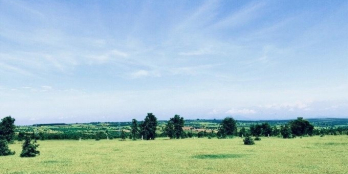 Lô đất Hòa Thắng chính chủ SHR 10.000m2, cách DT 716 1,8km