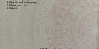 Mua vàng thì lỗ, mua thổ thì lời lô đất đẹp