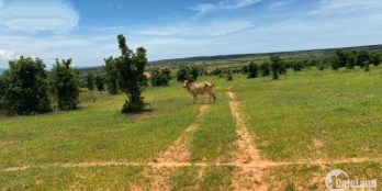 BÁN LÔ ĐẤT MẶT TIỀN ĐƯỜNG HÒA THẮNG CÁCH DT716 CHỈ 1KM, CÁCH LIÊN HUYỆN 400M