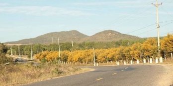 Sở hữu ngay chỉ với 350 triệu/nền