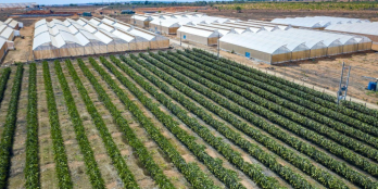 SỔ ĐẸP - ĐẤT SẠCH - CẦN RA NHANH