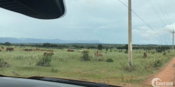 Bán lô đất thuộc diện quy hoạch đất ở đô thị, nằm mặt tiền DT 716