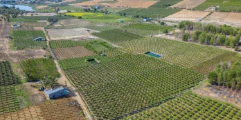 Chủ kẹt tiền gửi bán lô đất giá rẻ 6743m2, đất đẹp bằng phẳng, xe tới đất