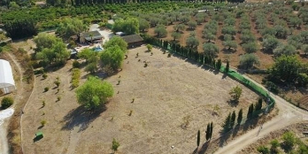 6700m2 Hồng Thái cây lâu năm, nằm trong KDC canh tác giá 100k/m2