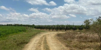 6996m2 Hồng Thái có đường trên sổ cách liên huyện chỉ 400m, giá 900tr