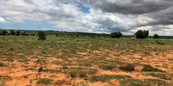 Bán gấp lô đất giá rẻ Chợ Lầu, DT 50*60m