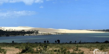 Chính chủ bán nhanh 3000m2 đất TCLN gần đường 716B, gần biển Hòa Phú