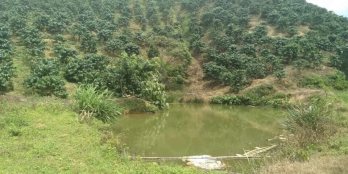 Cần bán lô đất ở Cuối đường B'lao Sire thôn 10c Lộc Thành,Bảo Lâm