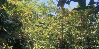 Bán lô đất có diện tích  5*19,3 giá 1tỷ 4 giá rẻ yêu thương