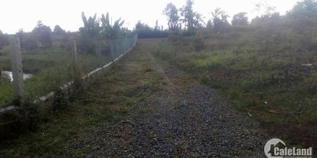 Góc cần bán lô đất 4400 sào với giá 1ty1/sào