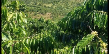 Lô đất giá 6ty4 đất ôm luôn cả suối thác đẹp