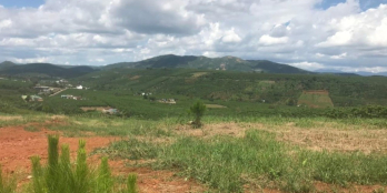 Góc lô đất cần bán thích hợp phân lô view đẹp