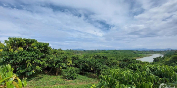 Góc lô đất cần bán view sông đất rộng đẹp giáp sông