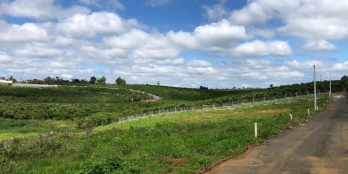 Đất Nằm ngay khu dân cư hiện hữu, tiện ích đầy đủ trong bán kính 2km