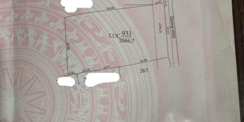 Chủ cần bán gấp lô đất  Sau chợ rừng dầu, sau bách hóa xanh￼ tiên thuận