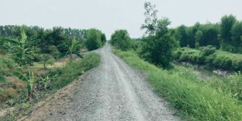 Bán gấp miếng đất vườn , đường oto, view kênh, ở Thạnh Hoà, Bến Lức