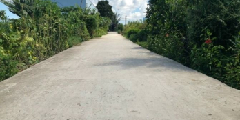 Đất Thổ Lúa MT đan 7-10 Lương Hòa Bến Lức 1204m2 có 300m2