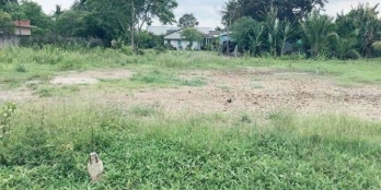 Bán nền thổ vườn 100m2 Thổ, 739m2 Vườn