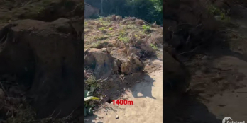 Bán 5400m2 đất vườn đường xe hơi giá rẻ