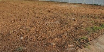 Bán đất thổ cư tại thạnh đức bến lức