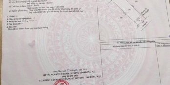 Mặt tiền kinh doanh buôn bán Hoàng Tam Kỳ