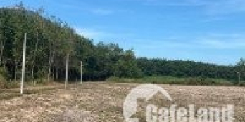 bán 600m2 đất - giá tốt 590 triệu có 200m thổ cư - sổ hồng riêng