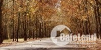 Bán đất Bình Phước gần khu công nghiệp + trung tâm hành chính