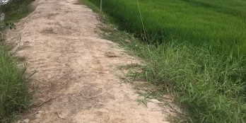 Gần 9 công đất đẹp 2 mặt tiền cách lộ 910 200m 