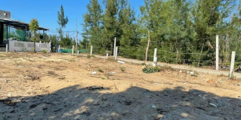 Gần 1000m ( hơn 400m đất ở) nằm trên đường bểtong thông biển châu tân cần bán