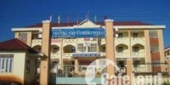 Bán gấp 2ha vườn điều giáp suối sát ĐT 312