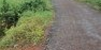 Bán lô đất Bù Đăng Bình Phước giá mềm chỉ với 380tr/1000m2