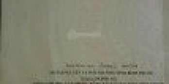 Bán 1,6 ha điều đang thu hoạch - giá 800tr/1 ha