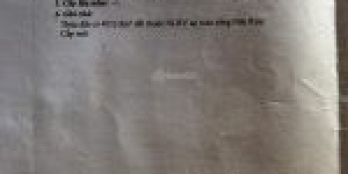 Bán 3,3 ha điều đang thu hoạch - giá 600tr/1 ha