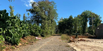 LỐC 5 LÔ F0 CƯSUÊ  THÔN 5 THÔNG THÔN 3 EABAR -BMT CHỈ CÒN 3 LÔ