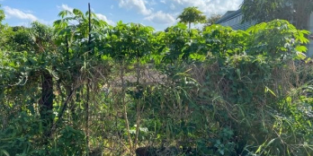 CẦN BÁN LÔ ĐẤT PHƯỜNG KHÁNH XUÂN