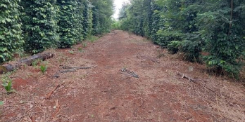 bán gấp lô đất tại xã Phường Khánh Xuân-lô đất đẹp bằng phẳng