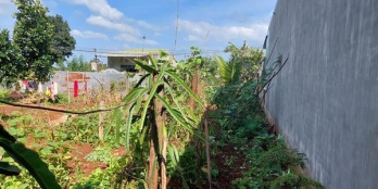 BÁN ĐẤT HẺM 327 YMON-P.TÂN LỢI-TP.BMT Tc 50m (.bìa chung ) xây nhà ở đc ngay