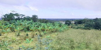 BÁN LÔ ĐẤT MẶT TIỀN CHÍNH CHỦ  NGAY CỔNG CHÀO THÔN 8 CƯÊBUR.